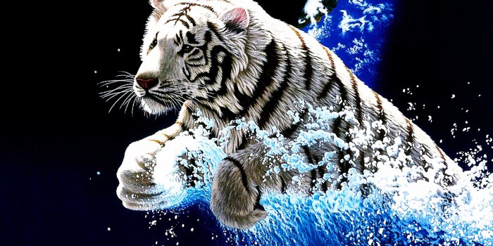 3840x2160 Tiger Wallpaper - iXpap
