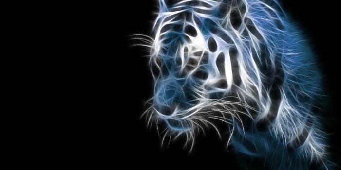 1920x1200 280+ White Tiger Wallpapers