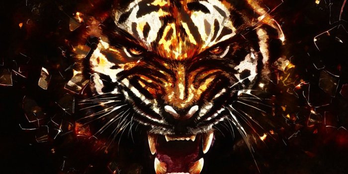 1024x768 Angry tigers wallpaper | Angry tigers wallpaper