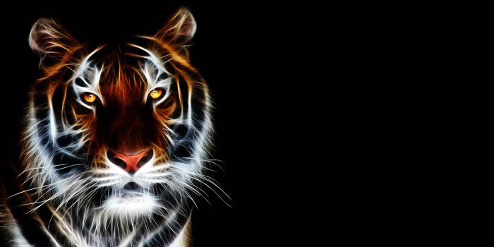 3840x2160 3D Animated Tiger Wallpaper - Best Wallpaper HD | Big cats art, Tiger  images, Animals