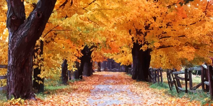 3840x2160 Autumn - Windows XP Wallpaper (Vector Digitized) [3840x2160] : r/wallpaper