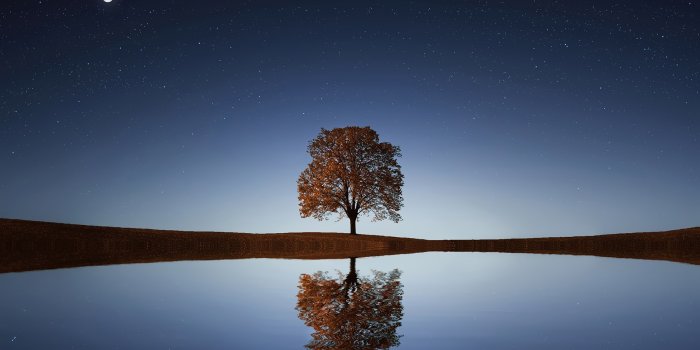 1920x1278 80,000+ Best Relax Photos · 100% Free Download · Pexels Stock Photos