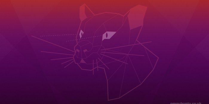 1920x1080 Ubuntu Wallpapers - Top Free Ubuntu Backgrounds - WallpaperAccess