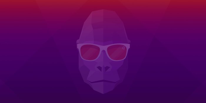4096x2304 Groovy Gorilla Ubuntu 20 Wallpaper, HD Hi-Tech 4K Wallpapers, Images,  Photos and Background - Wallpapers Den