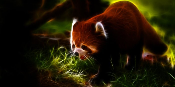1920x1080 Red Panda Wallpaper Art - 1920x1080 Wallpaper - teahub.io