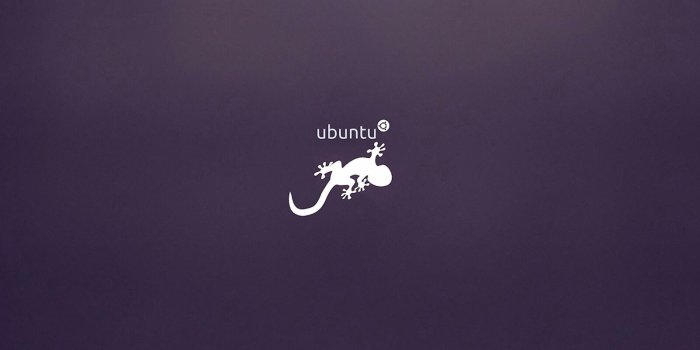 1600x1000 Get old Ubuntu Wallpapers Easily in Current Ubuntu / Linux Mint PC - FOSTips