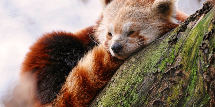 1920x1080 WallpapersHome on Twitter: 