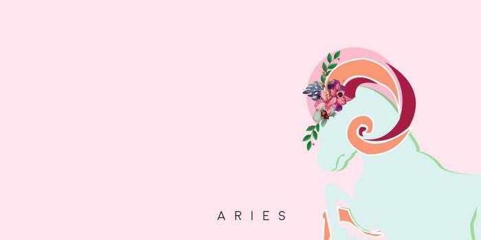 1920x1080 Desktop Aries Wallpaper | WhatsPaper