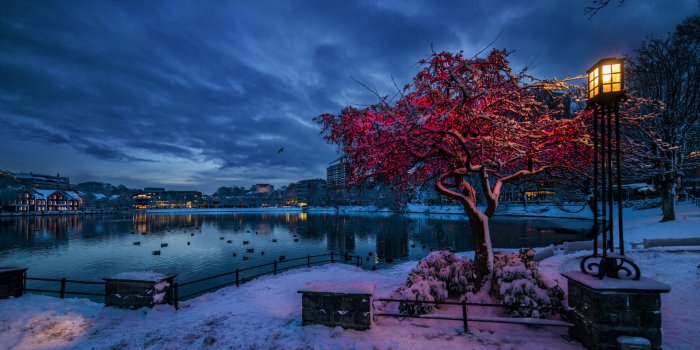 1920x1080 Norway Hd Data Src Norway Wallpapers Picture - Best Scenery Of The World -  1920x1080 Wallpaper - teahub.io