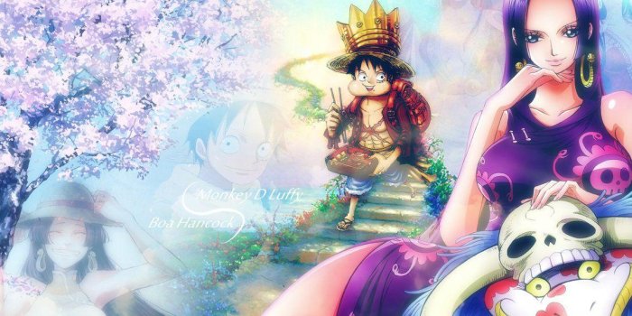 1131x707 Boa Hankont Wallpapers