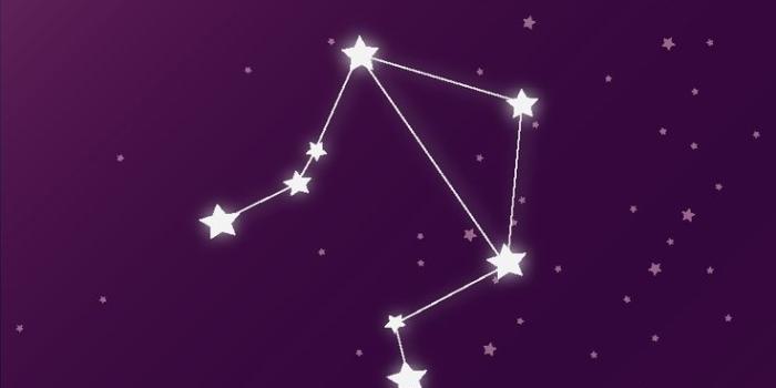 736x1308 Libra - Phone Vector Wallpaper | Android wallpaper black, Black phone  wallpaper, Libra art