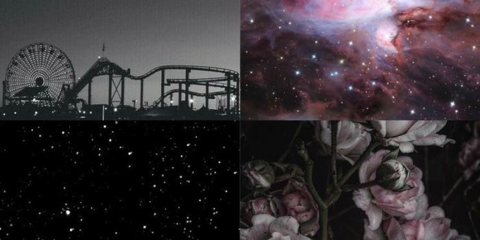 899x1600 Aesthetic Wallpapers — Personal Aesthetic ✨ @shylittleplanet asked: Hi!,...