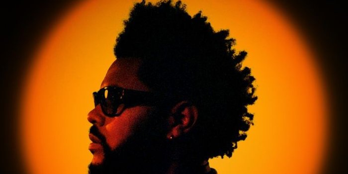736x1308 The Weeknd The Dawn Phone Wallpaper | The weeknd poster, The weeknd  background, The weeknd album cover