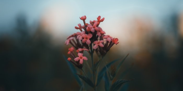 1000x1500 Oneplus 7 Pro Wallpapers Pictures | Download Free Images on Unsplash