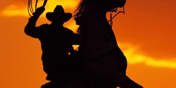 736x1512 Western Wallpaper Phone Discover more American Cowboy, Cowboy, Horse,  Western, Western Cowboy wallpaper. https://www.kolpape… | Wallpaper, Phone  wallpaper, Westerns