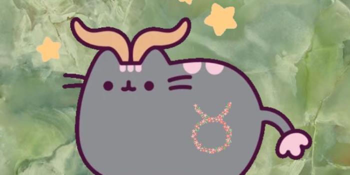 750x1334 Taurus pusheen | Taurus wallpaper, Taurus art, Taurus wallpaper art