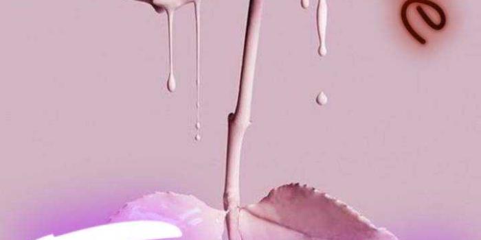 720x1280 Taurus IPhone Wallpapers - VoBss