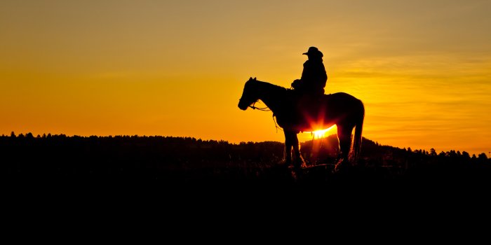 1920x1080 Cowboy HD Wallpaper | Background Image | 1920x1080