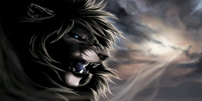 1920x1200 Angry Wallpapers Download - 1920x1200 Wallpaper - teahub.io