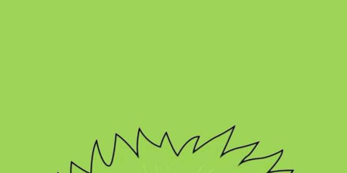 800x1422 Roronoa Zoro Wallpaper - IXpaper