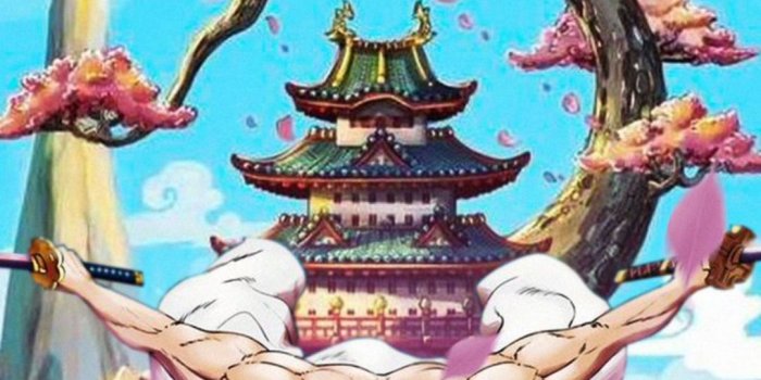 1080x1920 Roronoa Zoro iPhone Wallpaper - Animewallz