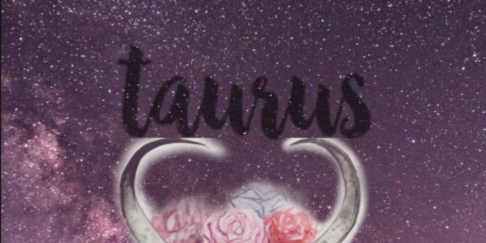 1208x1800 Taurus Wallpapers - VoBss