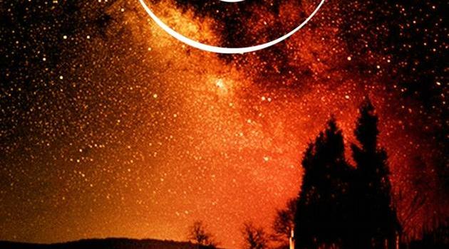 630x1280 Taurus Wallpaper wallpaper by SRedX0 - Download on ZEDGE™ | d16b