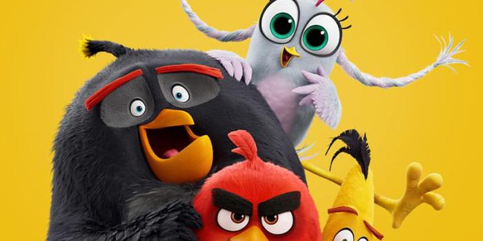 800x1689 Angry Birds Wallpapers - Broken Panda