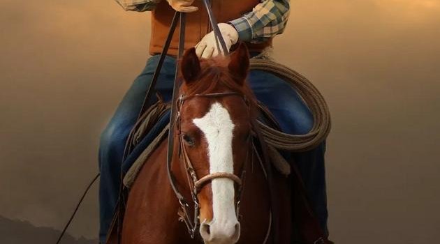 630x1280 Western CowBoy wallpaper by Krishana007 - Download on ZEDGE™ | 0820