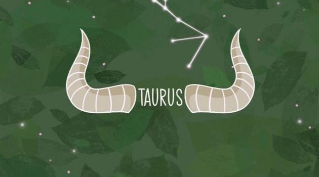 630x1280 Taurus wallpaper by gali_r6 - Download on ZEDGE™ | 2951