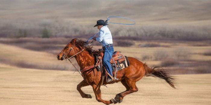 1332x850 Wallpaper cowboy, lasso, roping images for desktop, section спорт - download