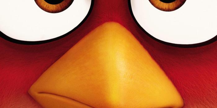 1536x2732 The Angry Birds Movie (2016) Phone Wallpaper | Moviemania