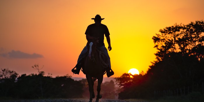 5897x3862 4K Cowboy Wallpapers | Background Images