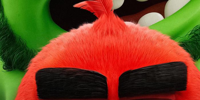 1242x2688 the angry birds movie 2 2019 5k new iPhone X Wallpapers Free Download