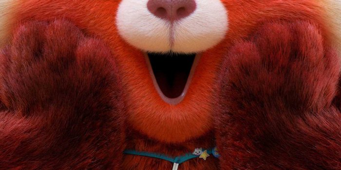 1440x2560 Pixar's Turning Red Wallpapers