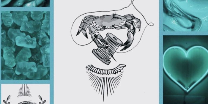 1080x1920 ✭Zodiac Signs✭ - Wallpaper (1) | Cancer zodiac, Zodiac art, Zodiac signs  cancer