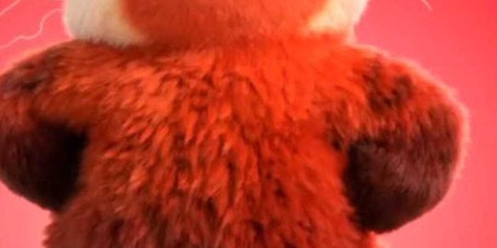 1080x1920 Turning Red Wallpaper Discover more Anime, Disney, Disney Pixar, Movie, Red  Panda wallpaper. … in 2022 | Red wallpaper, Disney princess cartoons,  Animated movies characters
