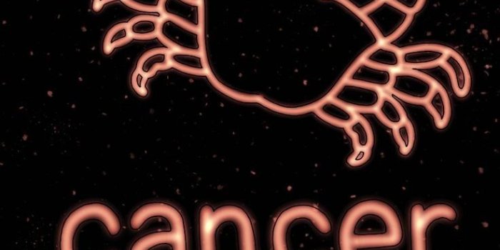 736x1558 Norma McDonald on Wallpaper | Zodiac signs cancer, Cancer zodiac,  Cancer sign