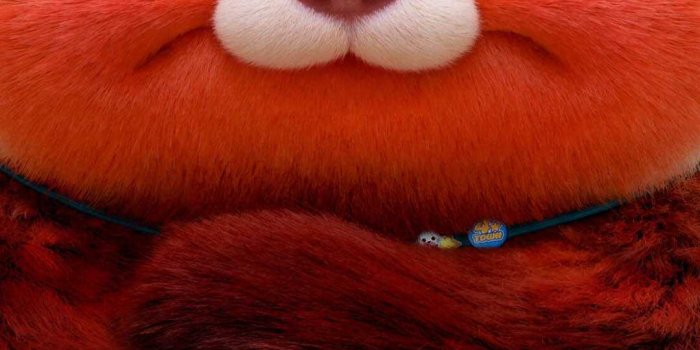 1080x1920 Pixar's Turning Red Wallpapers