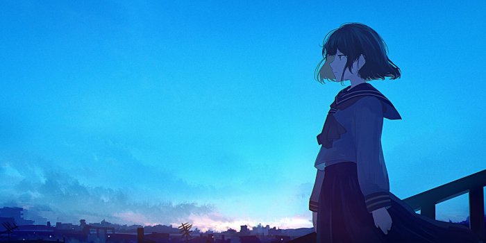 1332x850 Wallpaper blue, anime, waifu, Director images for desktop, section арт -  download