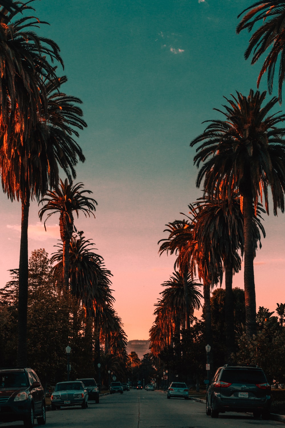 1000x1500 Miami Street Pictures | Download Free Images on Unsplash
