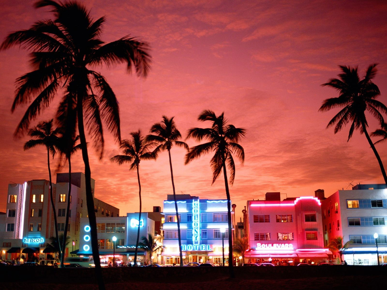 1600x1200 Wallpaper Miami, Street, Neon Lights, Palm Trees, Urban • Wallpaper For You