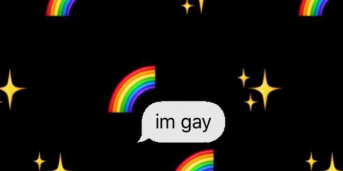 736x1104 Wallpaper LGBT