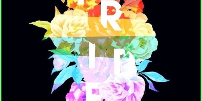 736x1301 Pin on LGBTQ+ WALLPAPER