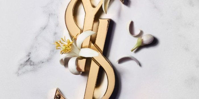 736x1308 YSL HD iPhone Wallpapers