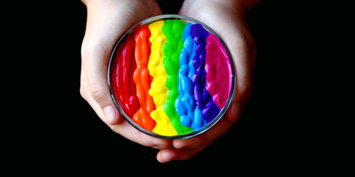 5616x3744 50,000+ Best Lgbt Wallpaper Photos · 100% Free Download · Pexels Stock  Photos