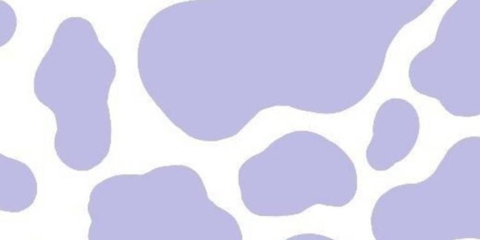 896x1280 Download Purple cow print wallpaper by joana__n - 94 - Free on ZEDGE™ now.  Browse millions of popular… | Cow print wallpaper, Purple wallpaper iphone, Cow  wallpaper