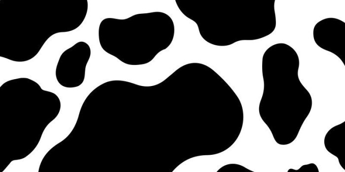 800x1200 Cute Cow Print Wallpaper Factory Sale, 50% OFF | www.cremascota.com