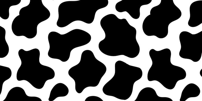 3464x1948 Desktop Cow Print Wallpaper - iXpap