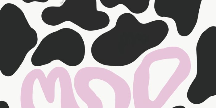 900x1200 moo wallpaper | Cow wallpaper, Cow print wallpaper, Animal print wallpaper